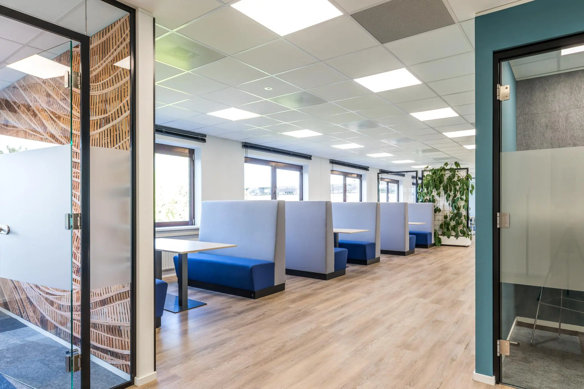 Moderne kantoorruimte aan de Baarnsche Dijk met gestoffeerde zitplaatsen in blauwe nissen langs grote ramen.